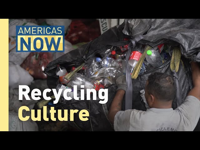 ⁣Waste-Pickers: The Unsung Heroes of Bogota’s Recycling Efforts