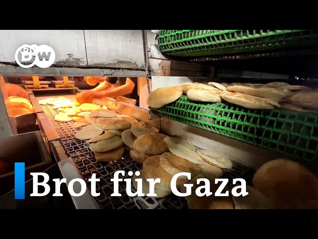 ⁣Backerei in Gaza-Stadt eröffnet zum ersten Mal seit Kriegsbeginn | DW Nachrichten