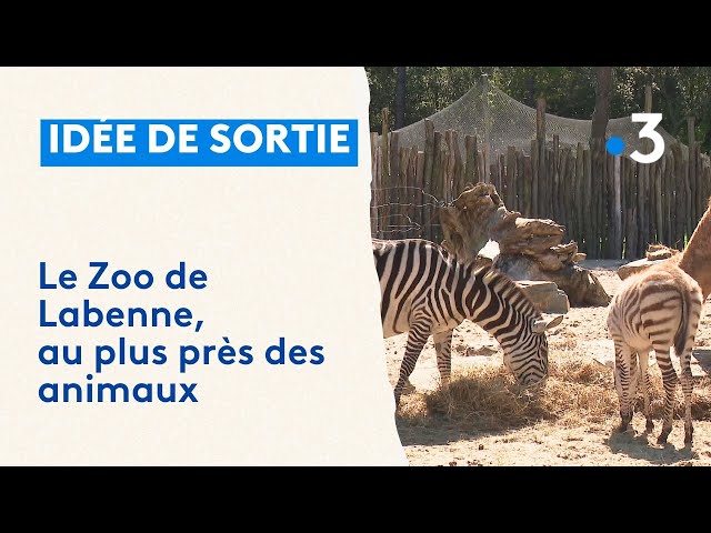 ⁣Le zoo de Labenne, une idée de sortie au plus près des animaux