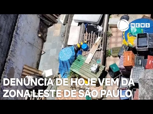 Record News contra a dengue: denúncia de hoje vem da zona leste de São Paulo