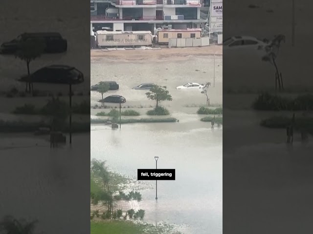 Year's worth of rain falls on Dubai in 12 hours