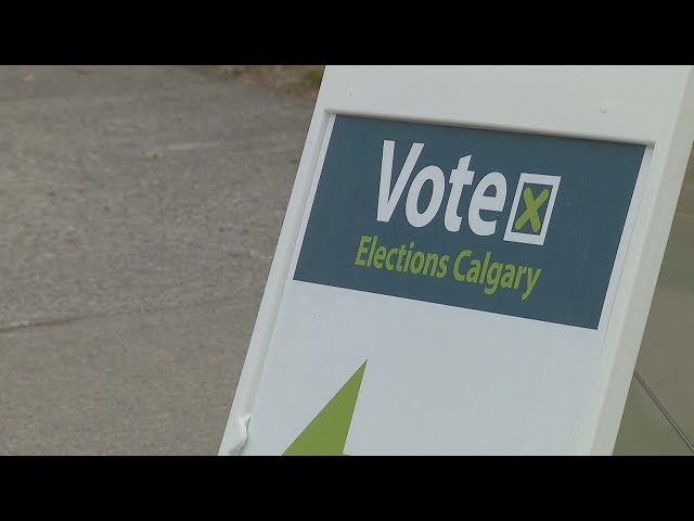 Should permanent residents be able to vote?