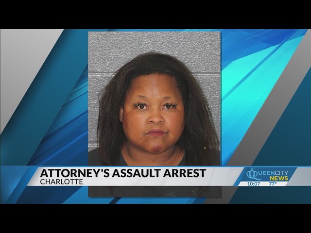 Attorney punched colleague, assaulted officers: records
