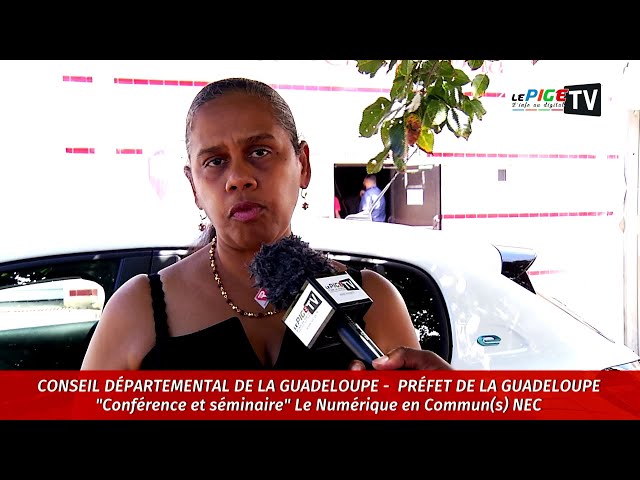 ⁣Conseil Départemental/Préfet de Guadeloupe : "Conférence et séminaire" Le Numérique en Com