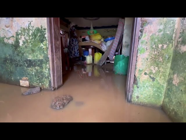 Lake Victoria’s waters flood market, houses in Entebbe