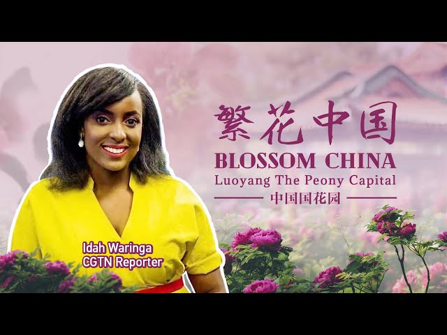 Live: Blossom China - Luoyang, the peony capital