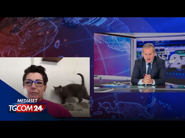 ⁣Mara Morini a Tgcom24, alla fine dell'intervista spunta il gatto "economista"