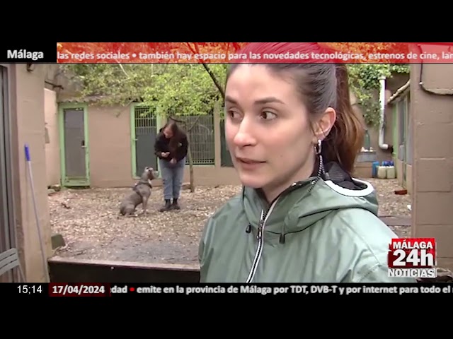 Noticia - Galicia dará ayudas para la adopción de mascotas de centros de acogida