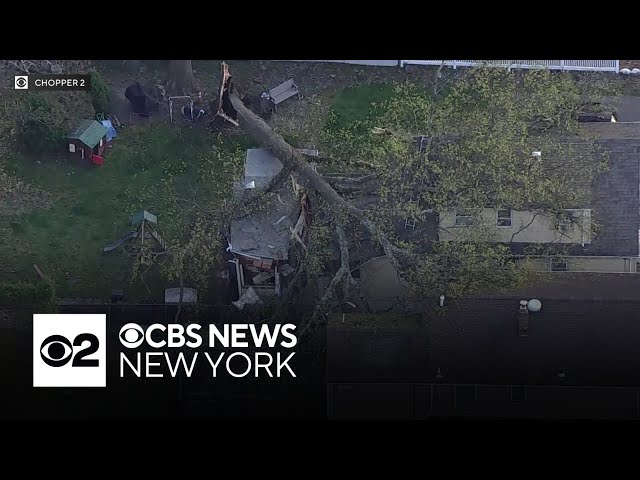 Tree falls onto house in Passaic County, New Jersey
