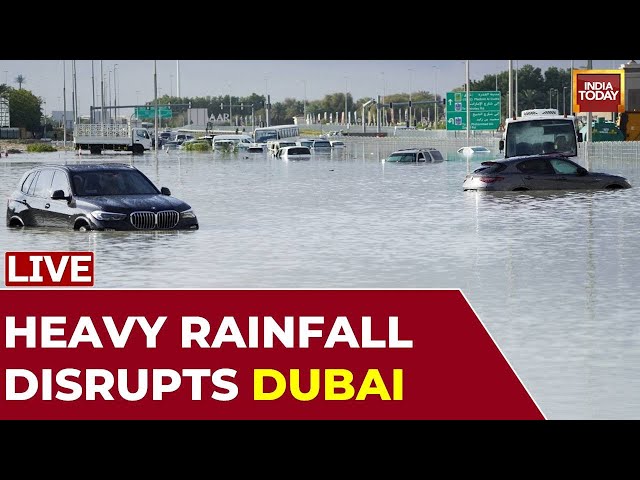 LIVE Dubai Floods | Dubai Experiences Heavy Rain Causing Floods,  Cars Stalled On Roads | Dubai News