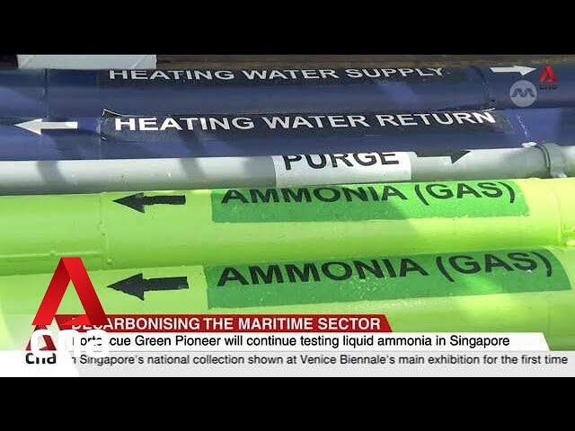 Singapore to register first 4 ammonia dual-fuel bulk carriers around 2026