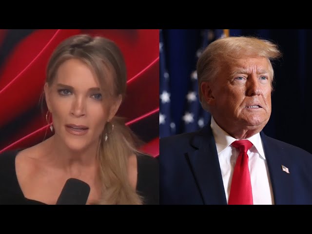 Megyn Kelly mocks media for ‘weird love-hate relationship’ with Donald Trump