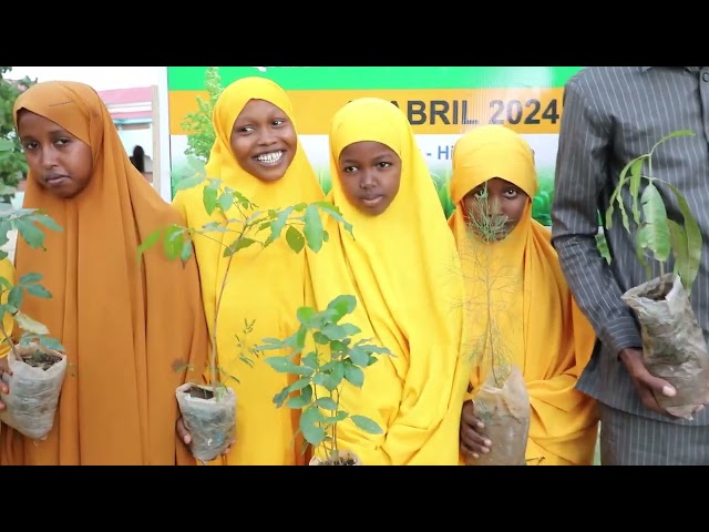 Munaasabadda maalinta dhireynta Soomaaliya ayaa lagu qabtay magaalada Jowhar.