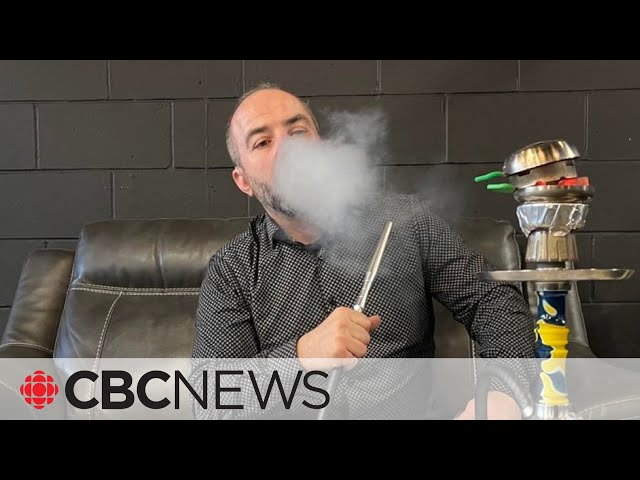 'Let us practise our culture,' shisha lounge owner pleas amid bylaw crackdown