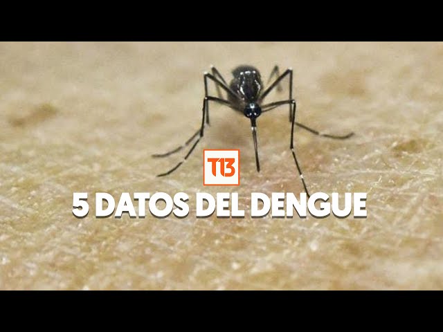 ⁣Los 5 datos que debes saber sobre el dengue: Contagio y tratamiento de la enfermedad