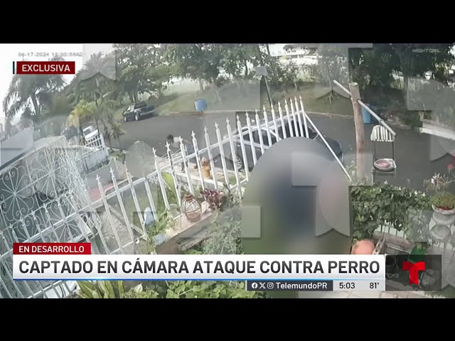 Detienen a otro hombre por maltrato contra perro