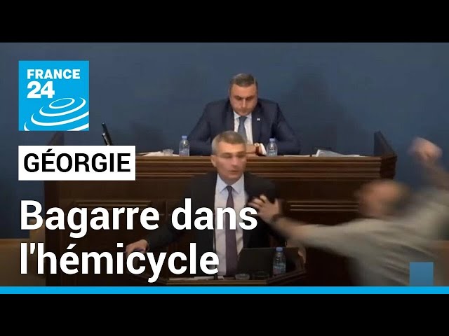 Géorgie : Un projet de loi controversé sur les "agents de l'étranger" • FRANCE 24