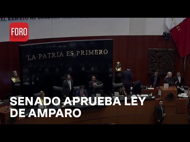 Pleno del senado aprueba en lo general reforma a Ley de Amparo - Las Noticias