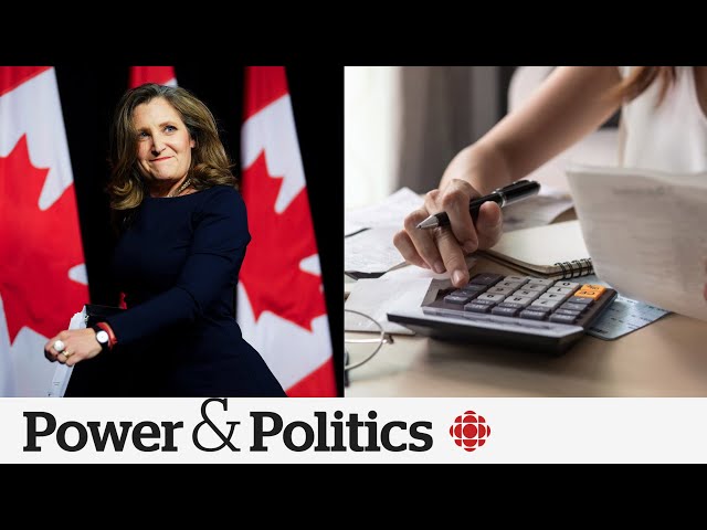 Federal budget doesn't offer enough to younger Canadians, expert says | Power & Politics