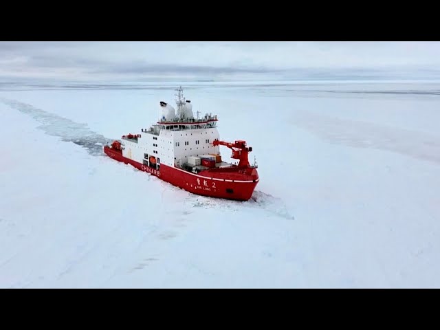 China's polar research icebreakers return from 40th Antarctic expedition