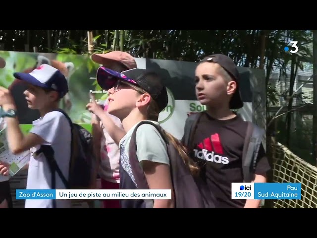 Les défis nature, un jeu de piste au zoo d'Asson