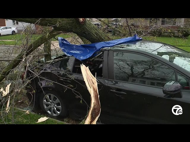 Damage, downed trees and power lines left behind in Ferndale after severe storms
