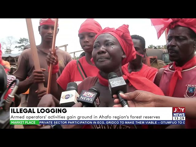 ⁣Illegal Logging: Armed operators' activities gain ground in Ahafo region's forest reserves