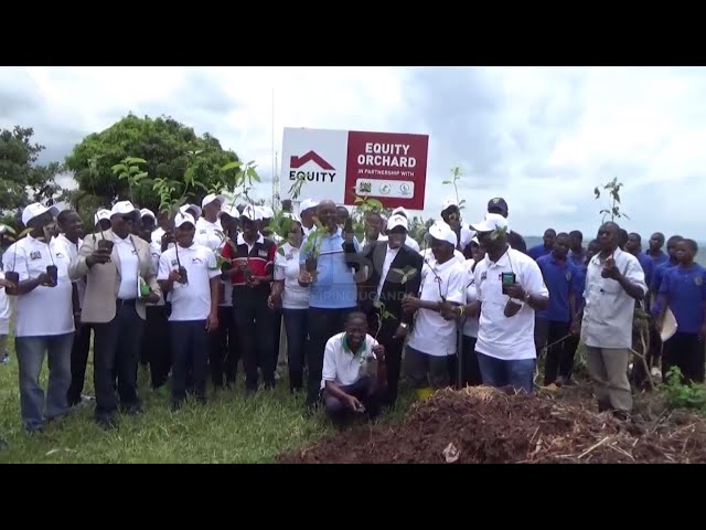 Reviving green cover in schools – Equity bank commits 43.000 trees at Busoga College Mwiri