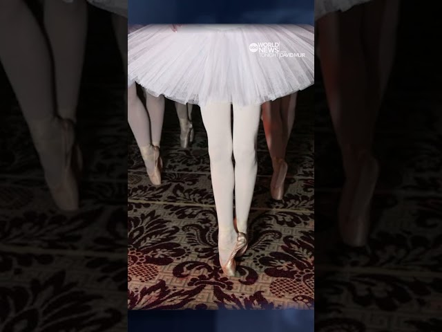 ⁣Hundreds of ballerinas gather at New York's Plaza Hotel to break world record