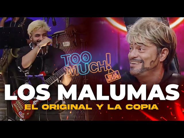 Maluma el original vs la copia | Too Much en la Noche | Telemicro