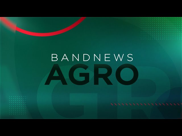 ⁣Samanta Pineda: Produção agropecuária do Brasil bate recorde em 2023 | BandNews TV