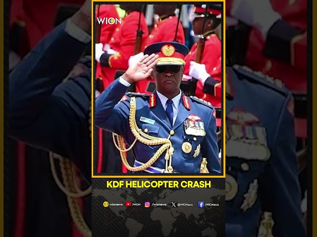 Kenya military helicopter crashes with defence chief on board, says Police | WION Shorts