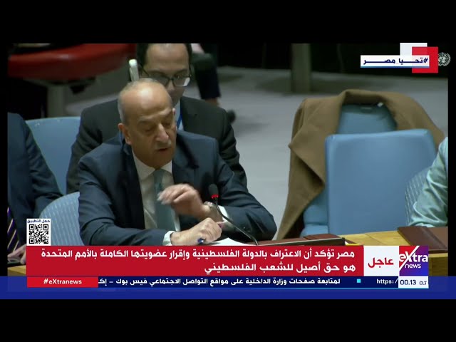 مصر تأسف لعجز مجلس الأمن عن إصدار قرار يمكن فلسطين من الحصول على العضوية الكاملة في الأمم المتحدة