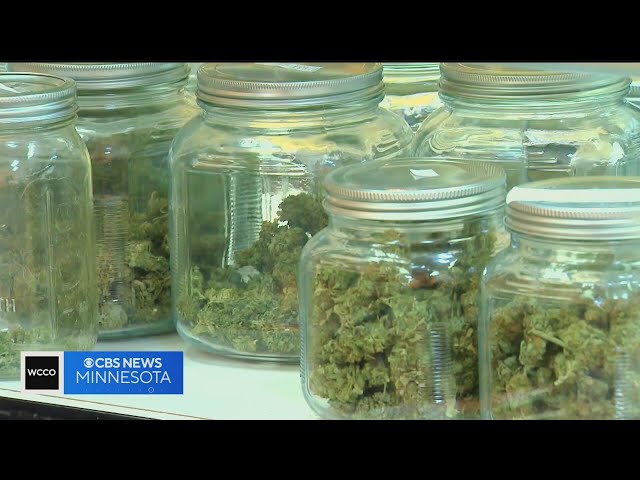 ⁣Minnesota legislators refine new state cannabis laws