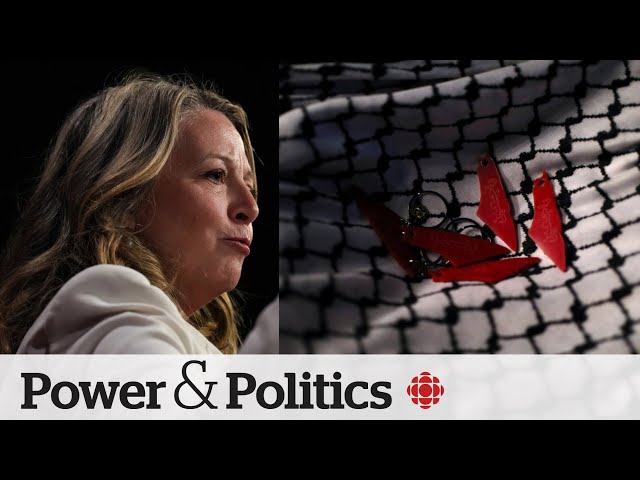 ⁣Keffiyeh is 'cultural attire,' not a political statement, says Ont. NDP leader | Power &am