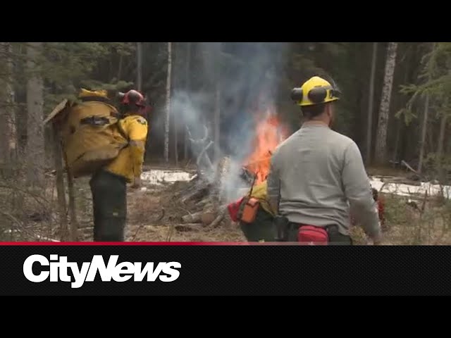 Province provides first weekly update on wildfire situation in Alberta