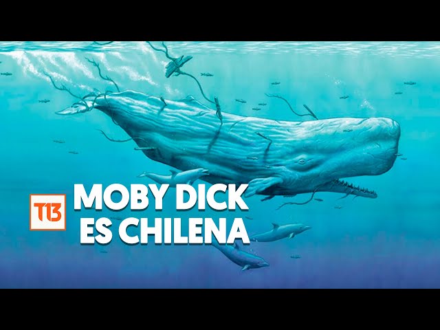La verdadera historia de por qué Moby Dick es chilena, con Francisco Ortega