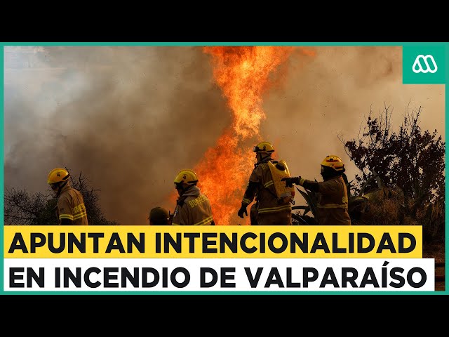 Megaincendio de Valparaíso: Informe de CONAF apunta intencionalidad en origen del fuego