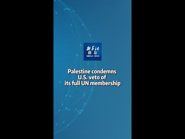 Xinhua News | Palestine condemns U.S. veto of its full UN membership
