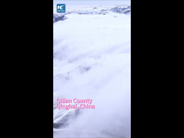 Rolling sea of clouds on snowy mountains in China's Qinghai