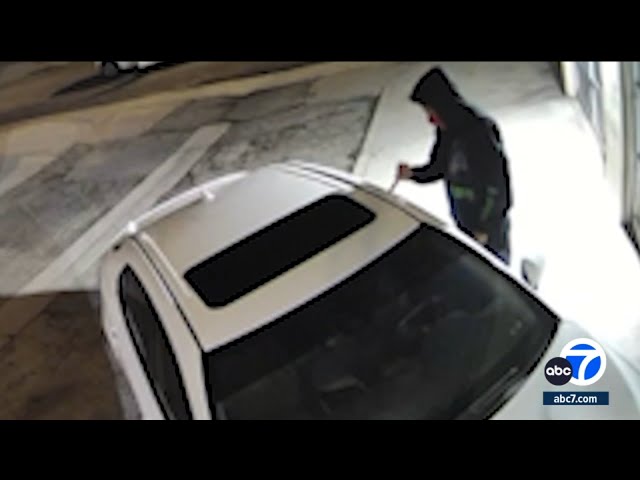 ⁣Police investigating rash of car break-ins in Playa del Rey, Venice area