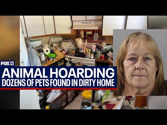 Dozens of animals found in Polk County home