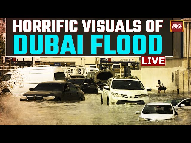 Dubai Flood LIVE Updates | Heavy Rain In Dubai Live Update | Desert City Of Dubai Flooded | LIVE