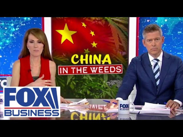 ⁣Dagen McDowell: Is China making 'deadly marijuana'?
