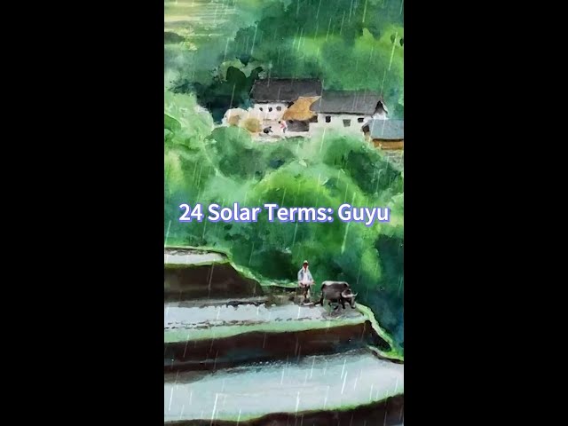 24 Solar Terms: Guyu