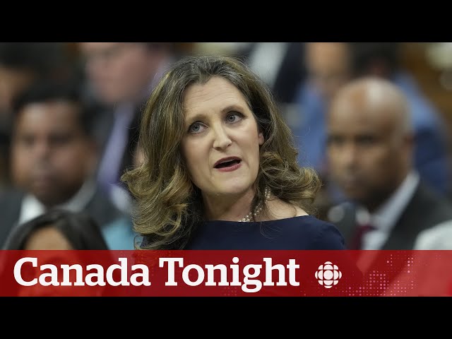 ⁣Capital gains tax hike: Debating the possible impact on businesses | Canada Tonight