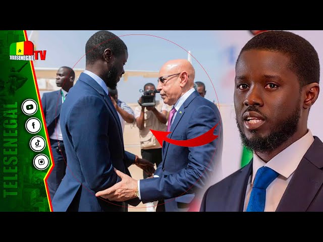 ⁣"Samba Tall Sarr : Les Premiers Jalons Posés par le Président Diomaye Sont Rassurants"