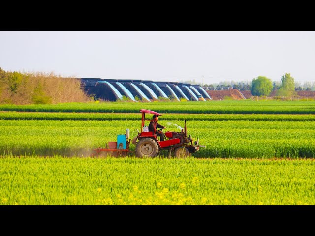 ⁣В Китае завершили сев яровых культур на 20%