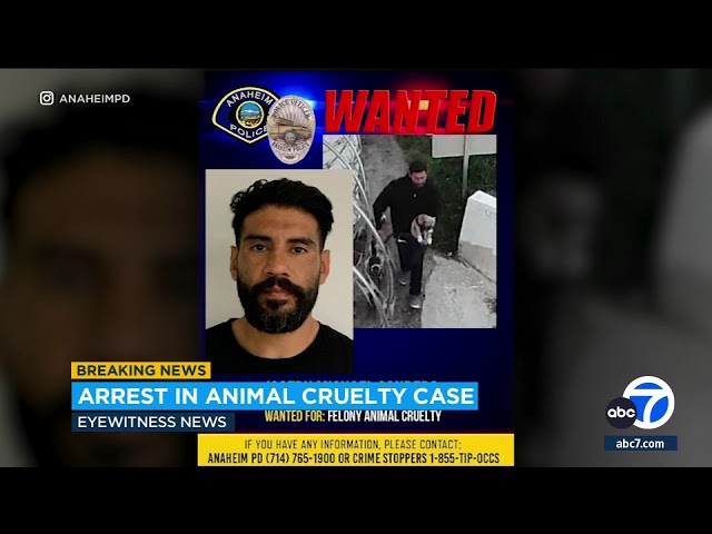 ⁣Anaheim police make arrest after man seen kicking small dog in disturbing video