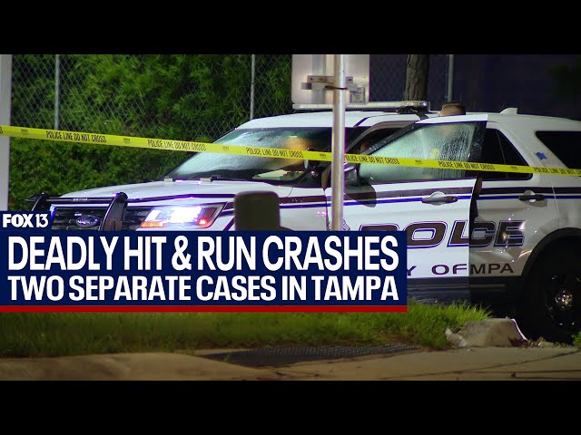 Tampa Police investigating two deadly hit-and-runs